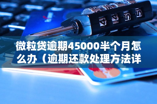 微粒贷逾期45000半个月怎么办（逾期还款处理方法详解）