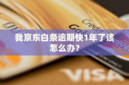 我京东白条逾期快1年了该怎么办？