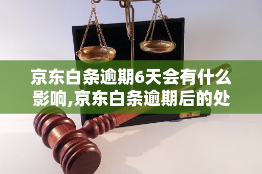 京东白条逾期6天会有什么影响,京东白条逾期后的处罚措施