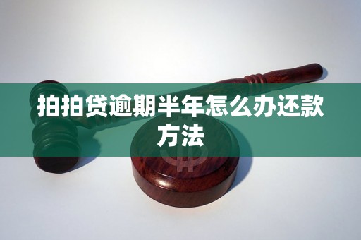 拍拍贷逾期半年怎么办还款方法