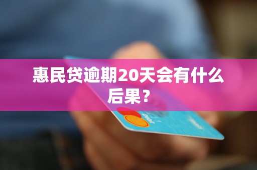 惠民贷逾期20天会有什么后果？