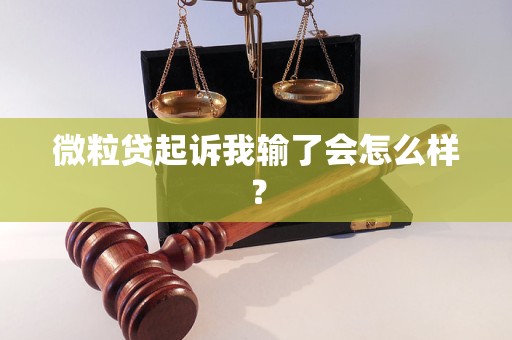 微粒贷起诉我输了会怎么样？