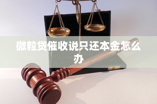 微粒贷催收说只还本金怎么办