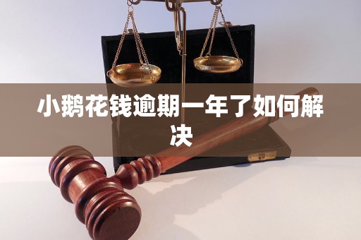 小鹅花钱逾期一年了如何解决