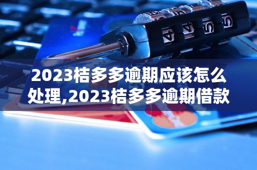 2023桔多多逾期应该怎么处理,2023桔多多逾期借款后果及解决办法