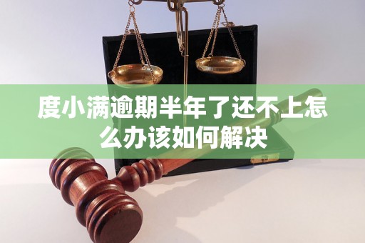 度小满逾期半年了还不上怎么办该如何解决