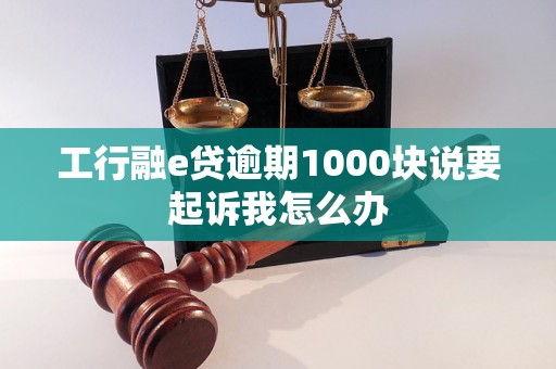 工行融e贷逾期1000块说要起诉我怎么办