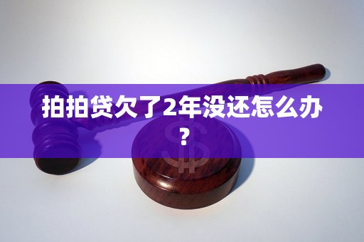 拍拍贷欠了2年没还怎么办？