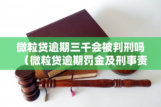 微粒贷逾期三千会被判刑吗（微粒贷逾期罚金及刑事责任）