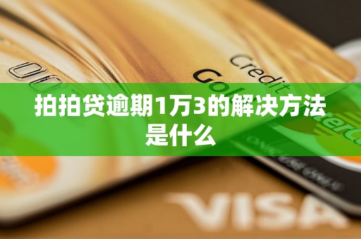 拍拍贷逾期1万3的解决方法是什么