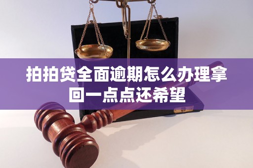 拍拍贷全面逾期怎么办理拿回一点点还希望