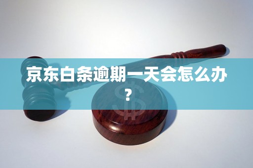 京东白条逾期一天会怎么办？