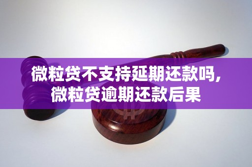 微粒贷不支持延期还款吗,微粒贷逾期还款后果