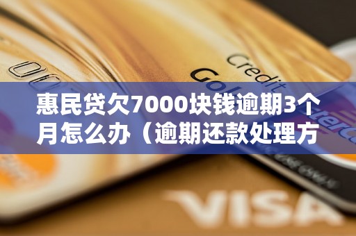 惠民贷欠7000块钱逾期3个月怎么办（逾期还款处理方法）