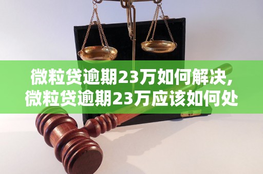 微粒贷逾期23万如何解决,微粒贷逾期23万应该如何处理