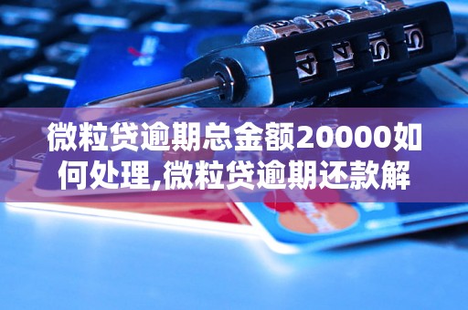 微粒贷逾期总金额20000如何处理,微粒贷逾期还款解决办法