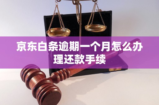 京东白条逾期一个月怎么办理还款手续