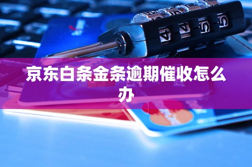 京东白条金条逾期催收怎么办