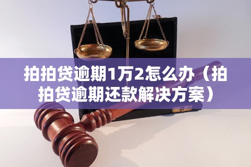 拍拍贷逾期1万2怎么办（拍拍贷逾期还款解决方案）