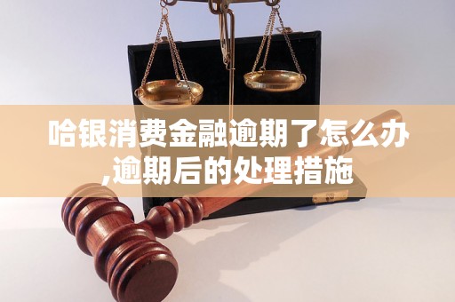 哈银消费金融逾期了怎么办,逾期后的处理措施