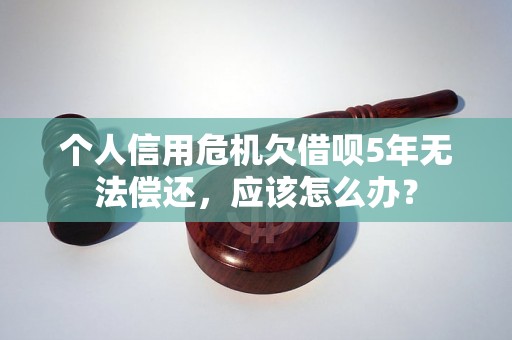 个人信用危机欠借呗5年无法偿还，应该怎么办？