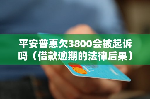 平安普惠欠3800会被起诉吗（借款逾期的法律后果）