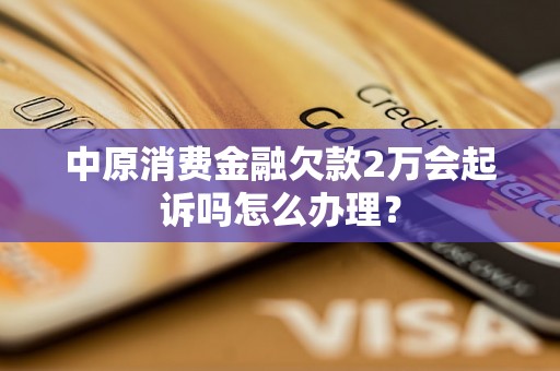 中原消费金融欠款2万会起诉吗怎么办理？