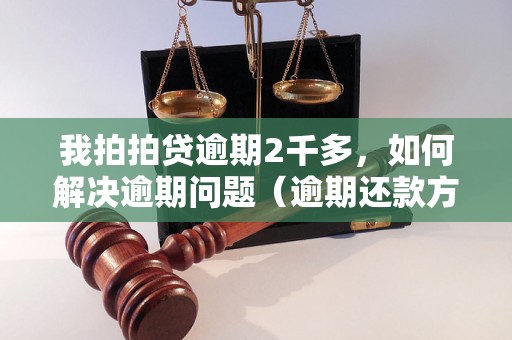 我拍拍贷逾期2千多，如何解决逾期问题（逾期还款方法及注意事项）