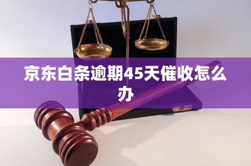 京东白条逾期45天催收怎么办