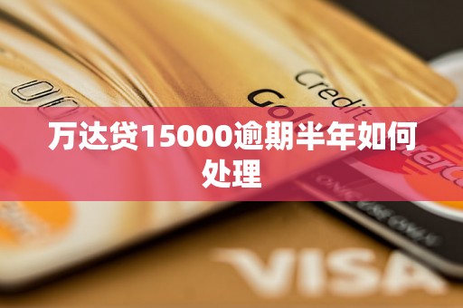 万达贷15000逾期半年如何处理