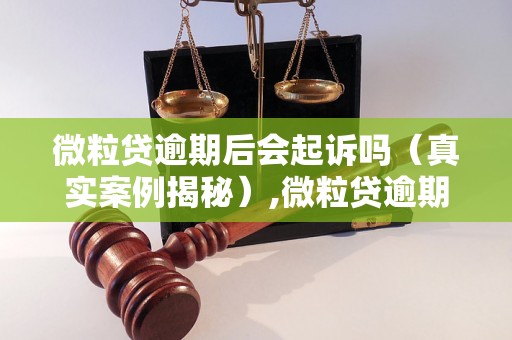 微粒贷逾期后会起诉吗（真实案例揭秘）,微粒贷逾期后会被法院执行吗