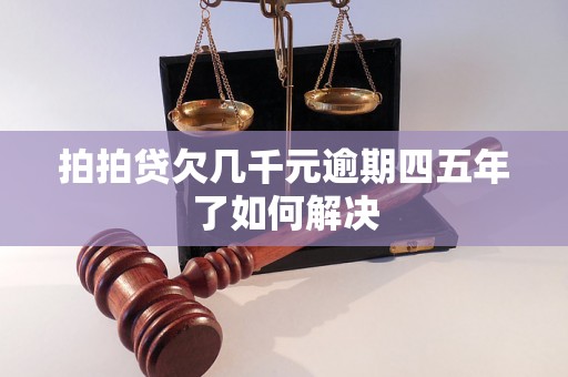 拍拍贷欠几千元逾期四五年了如何解决