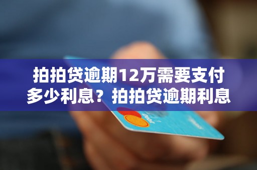 拍拍贷逾期12万需要支付多少利息？拍拍贷逾期利息计算方法详解