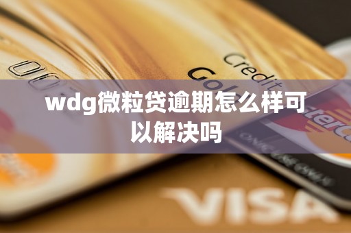 wdg微粒贷逾期怎么样可以解决吗