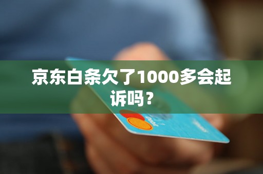 京东白条欠了1000多会起诉吗？