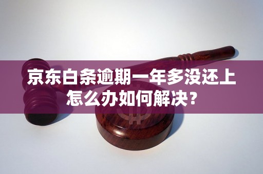 京东白条逾期一年多没还上怎么办如何解决？