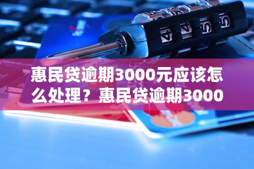 惠民贷逾期3000元应该怎么处理？惠民贷逾期3000元的后果有哪些？惠民贷逾期3000元如何避免影响个人信用？惠民贷逾期3000元需要承担哪些法律责任？