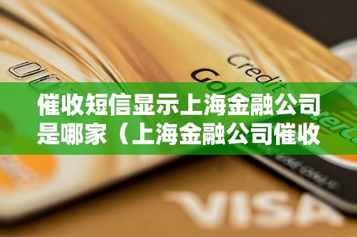 催收短信显示上海金融公司是哪家（上海金融公司催收短信解析）