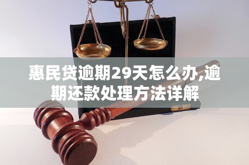 惠民贷逾期29天怎么办,逾期还款处理方法详解