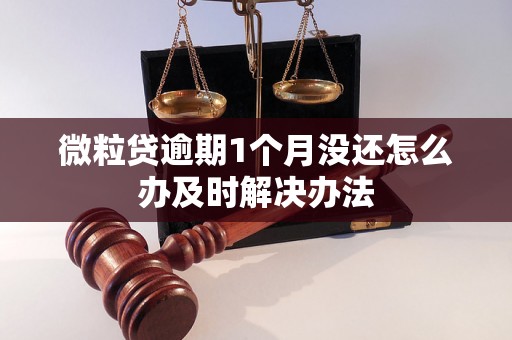 微粒贷逾期1个月没还怎么办及时解决办法