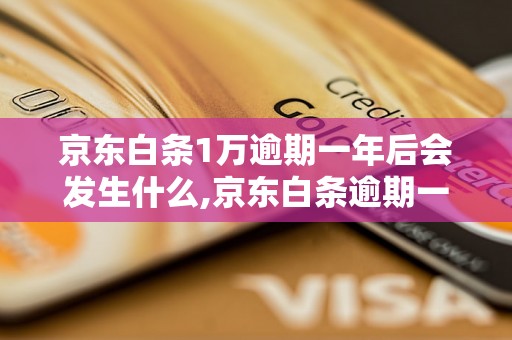 京东白条1万逾期一年后会发生什么,京东白条逾期一年的后果