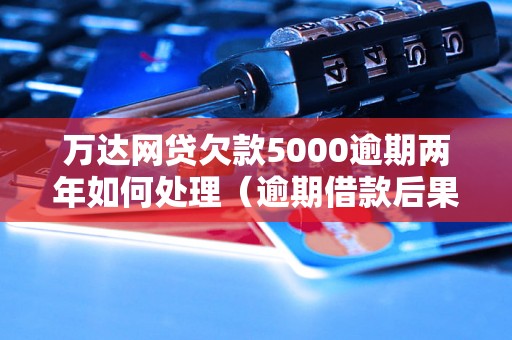 万达网贷欠款5000逾期两年如何处理（逾期借款后果及解决方法）