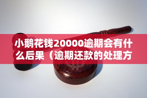 小鹅花钱20000逾期会有什么后果（逾期还款的处理方式）