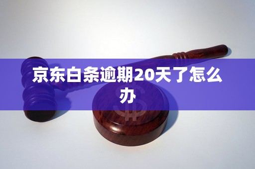 京东白条逾期20天了怎么办