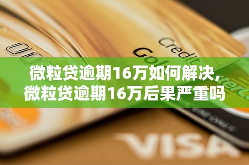 微粒贷逾期16万如何解决,微粒贷逾期16万后果严重吗