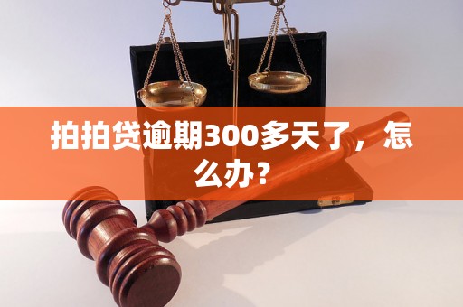 拍拍贷逾期300多天了，怎么办？