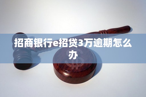 招商银行e招贷3万逾期怎么办