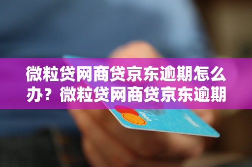 微粒贷网商贷京东逾期怎么办？微粒贷网商贷京东逾期的后果及解决方法