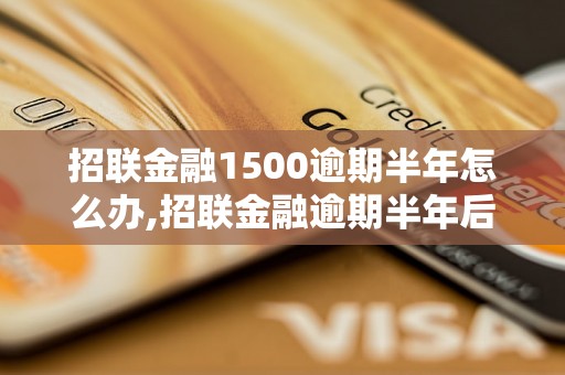 招联金融1500逾期半年怎么办,招联金融逾期半年后果严重吗