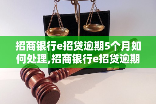 招商银行e招贷逾期5个月如何处理,招商银行e招贷逾期怎么办